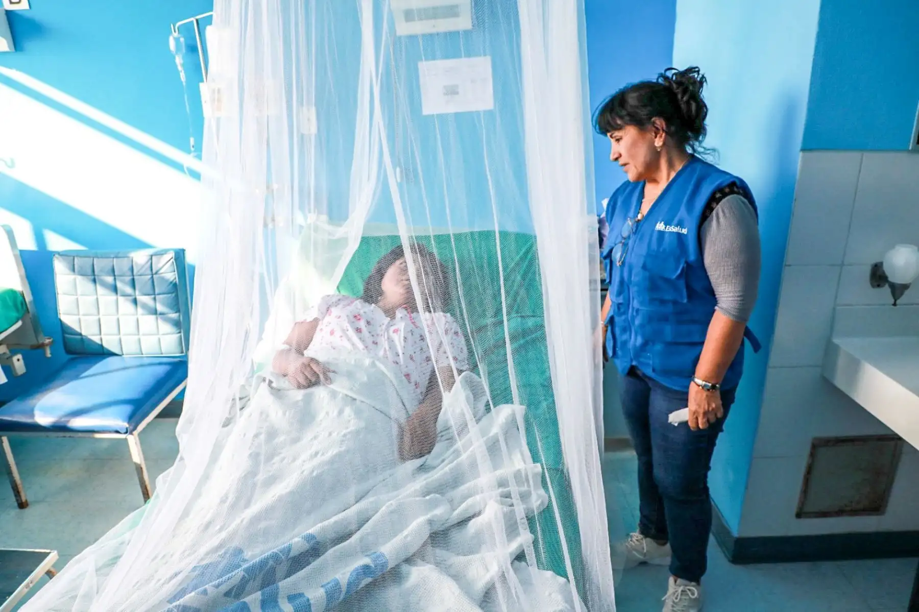 Entre el 10 y el 15 de abril se llegaría al pico de contagios por dengue, advierte EsSalud. Foto: ANDINA/difusión.