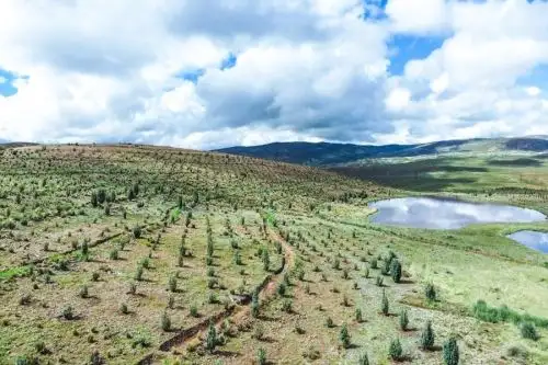 La empresa pública Activos Mineros SAC (AMSAC) presentó su memoria institucional correspondiente al año 2023, en la cual destaca su importante ejecución de inversiones en proyectos de remediación medioambiental minera, la cual ascendió a 169.5 millones de soles.