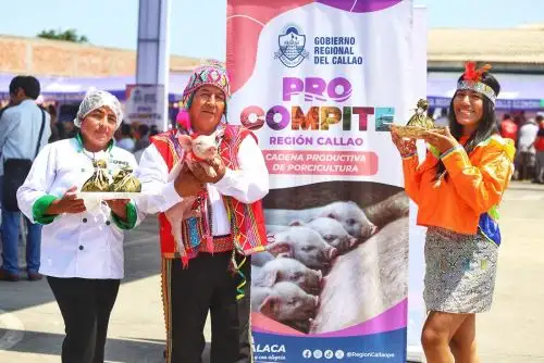 Procompite: más de 400 emprendedores chalacos iniciaron exposiciones públicas. Foto: ANDINA/difusión.