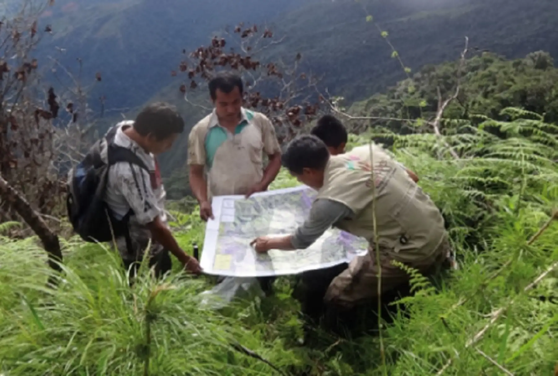 Gracias a la intervención del Ministerio del Ambiente, a través de su Programa Bosques, once gobiernos regionales fortalecerán sus acciones de monitoreo de cobertura de bosques a través del uso adecuado de la información, lo que contribuirá a una mejor gestión de estos ecosistemas, asegurando su conservación, aprovechamiento sostenible y reduciendo su pérdida, en beneficio de sus poblaciones.