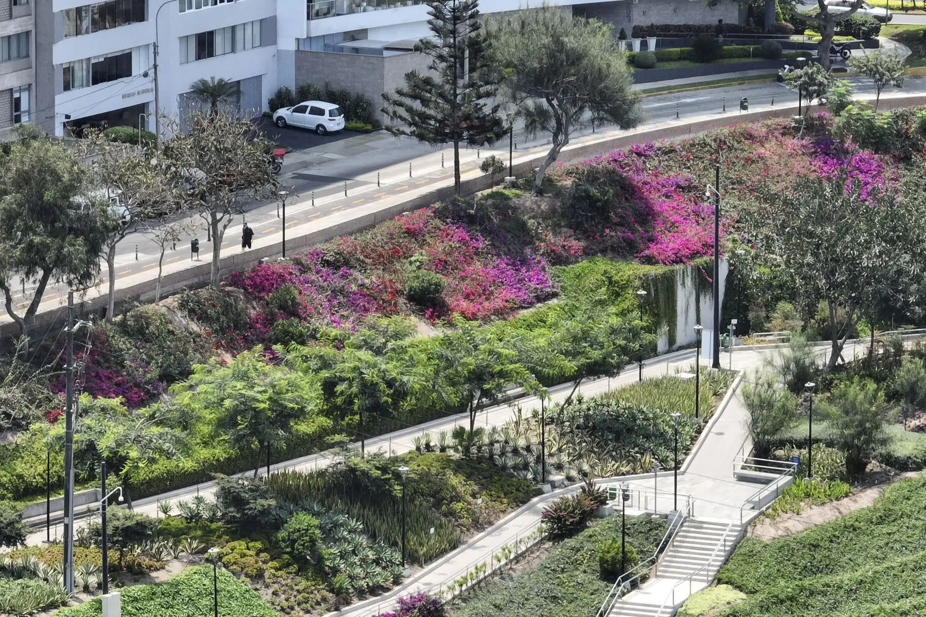 Con 30,400 m2 de área, la concepción del parque se inició en la campaña política del alcalde Luis Molina en el 2019, como un lugar para promover la contemplación de la naturaleza a través de la diversidad de la vegetación y como parte de la celebración de los 200 años de Independencia del Perú. Foto: ANDINA/Jhonel Rodríguez Robles