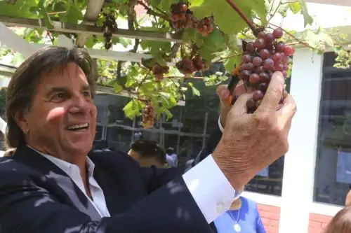 "Tenemos que rescatar las tradiciones vinculadas al pisco que se están perdiendo", afirmó el presidente de la Academia Peruana del Pisco, Johnny Schuler. Foto: ANDINA/Héctor Vinces