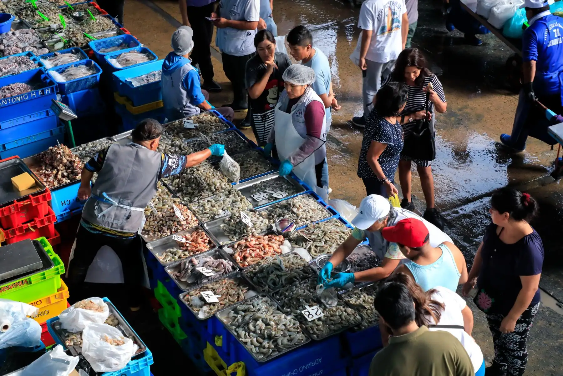 Próximos a celebrar la Semana Santa, la ministra de la Producción, Ana María Choquehuanca, recorrió el Mercado Mayorista Pesquero de Villa María del Triunfo para verificar el abastecimiento de recursos de hidrobiológicos y garantizar el cumplimiento de las normas sanitarias de inocuidad y salubridad. Foto: Produce
