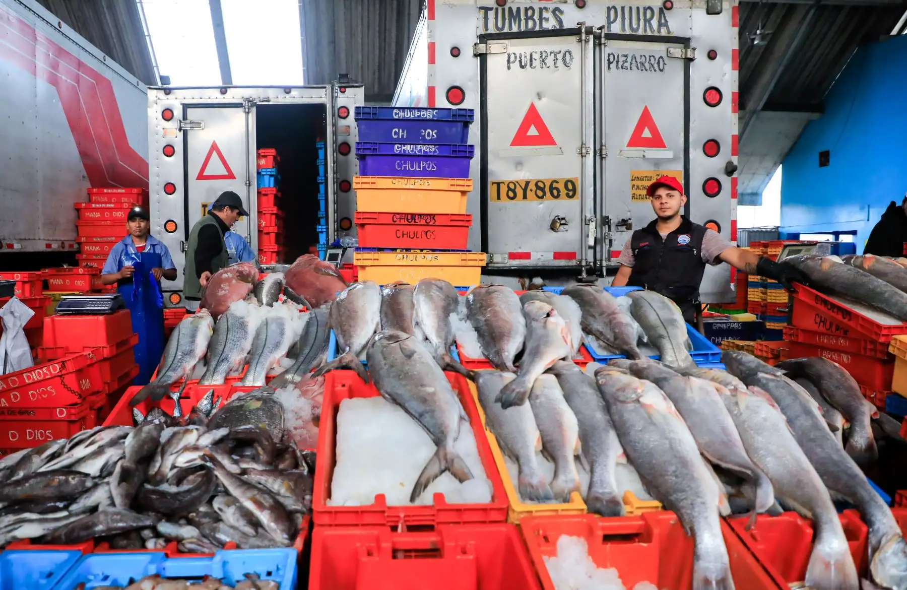 En tanto, se conoció que, por el momento, los precios se mantienen estables y al alcance de todos los bolsillos. Foto: Produce
