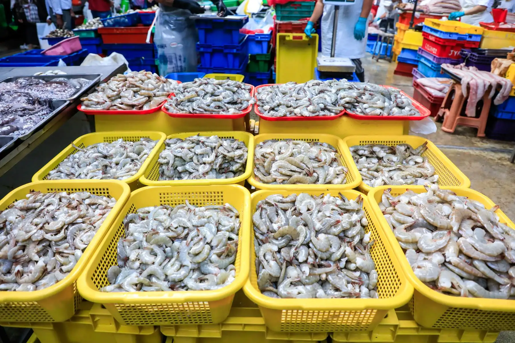 Durante la visita, la titular del Ministerio de la Producción (Produce) hizo énfasis en la importancia de consumir pescado, sobre todo en las mesas populares, por el gran aporte nutricional que este alimento ofrece. Foto: Produce