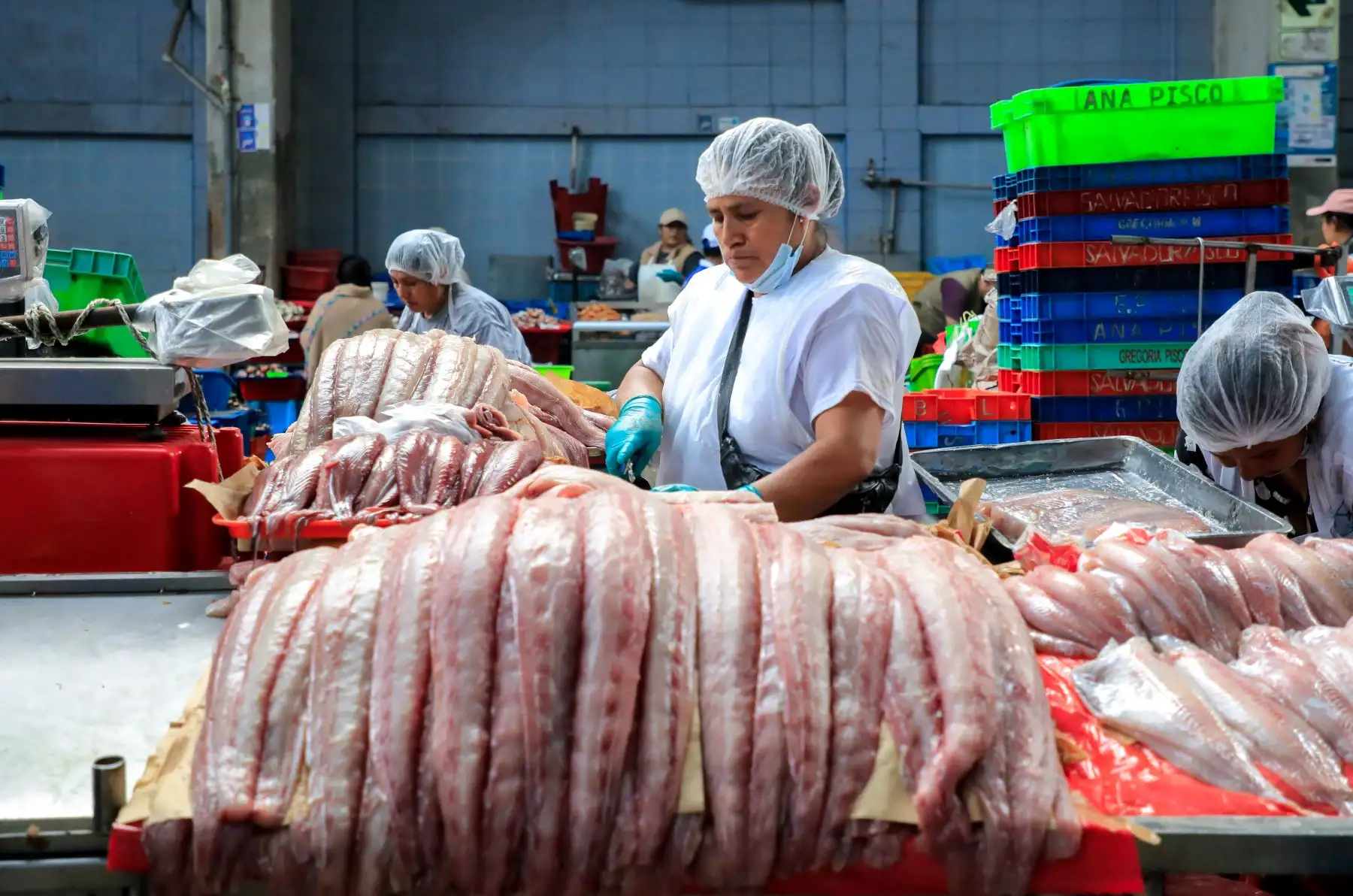Próximos a celebrar la Semana Santa, la ministra de la Producción, Ana María Choquehuanca, recorrió el Mercado Mayorista Pesquero de Villa María del Triunfo para verificar el abastecimiento de recursos de hidrobiológicos y garantizar el cumplimiento de las normas sanitarias de inocuidad y salubridad. Foto: Produce