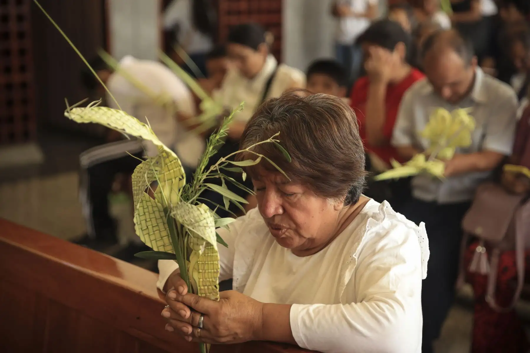 Miles de devotos asistieron a las iglesias del Centro de Lima para celebrar el Domingo de Ramos, que marca el inicio de la Semana Santa. Foto: ANDINA/Jhonel Rodríguez Robles