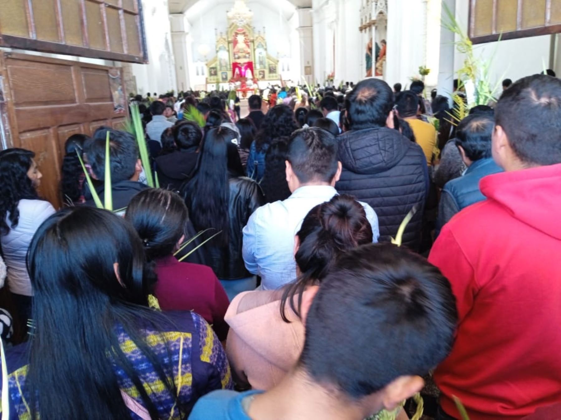 Con la misa de Domingo de Ramos, celebrada en la Basílica Menor, se iniciaron actos centrales por Semana Santa en Puno. Foto: Alberto Alejo