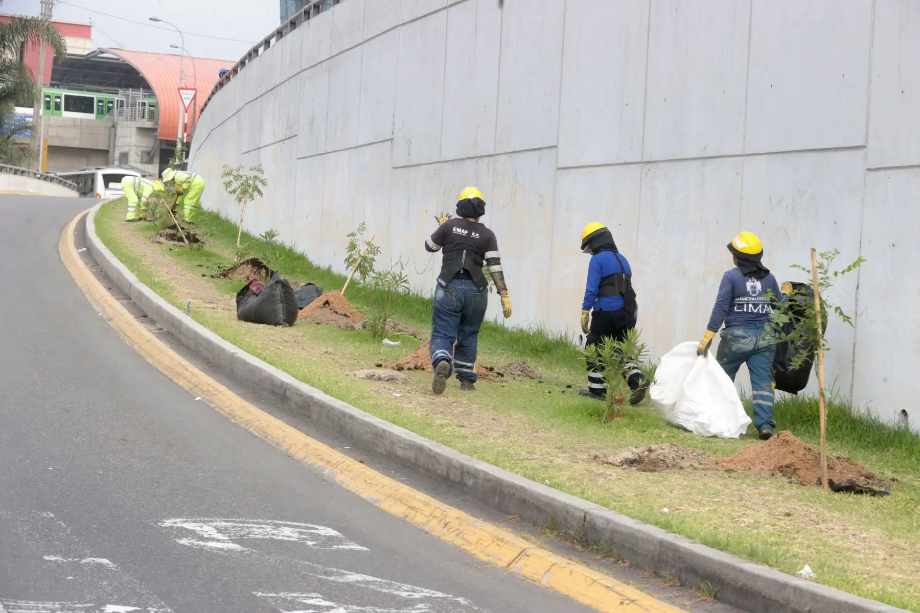 Con la participación del alcalde de San Borja, Marco Álvarez, Emape realizó una campaña de arborización en la vía Expresa Javier Prado. En tan solo 24 horas, 1000 árboles serán sembrados en esta importante arteria vial que mejorará positivamente a millones de limeños, buscando  mitigar la contaminación ambiental y recuperar el paisajismo de la ciudad.
Foto: ANDINA/Vidal Tarqui Con la participación del alcalde de San Borja, Marco Álvarez, Emape realizó una campaña de arborización en la vía Expresa Javier Prado. En tan solo 24 horas, 1000 árboles serán sembrados en esta importante arteria vial que mejorará positivamente a millones de limeños, buscando  mitigar la contaminación ambiental y recuperar el paisajismo de la ciudad.
Foto: ANDINA/Vidal Tarqui