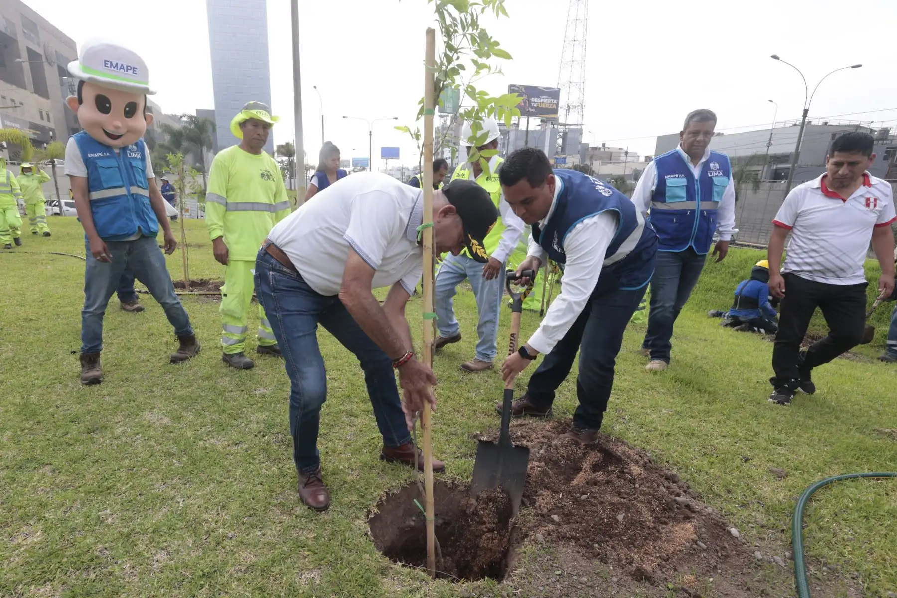 Con la participación del alcalde de San Borja, Marco Álvarez, Emape realizó una campaña de arborización en la vía Expresa Javier Prado. En tan solo 24 horas, 1000 árboles serán sembrados en esta importante arteria vial que mejorará positivamente a millones de limeños, buscando  mitigar la contaminación ambiental y recuperar el paisajismo de la ciudad.
Foto: ANDINA/Vidal Tarqui Con la participación del alcalde de San Borja, Marco Álvarez, Emape realizó una campaña de arborización en la vía Expresa Javier Prado. En tan solo 24 horas, 1000 árboles serán sembrados en esta importante arteria vial que mejorará positivamente a millones de limeños, buscando  mitigar la contaminación ambiental y recuperar el paisajismo de la ciudad.
Foto: ANDINA/Vidal Tarqui