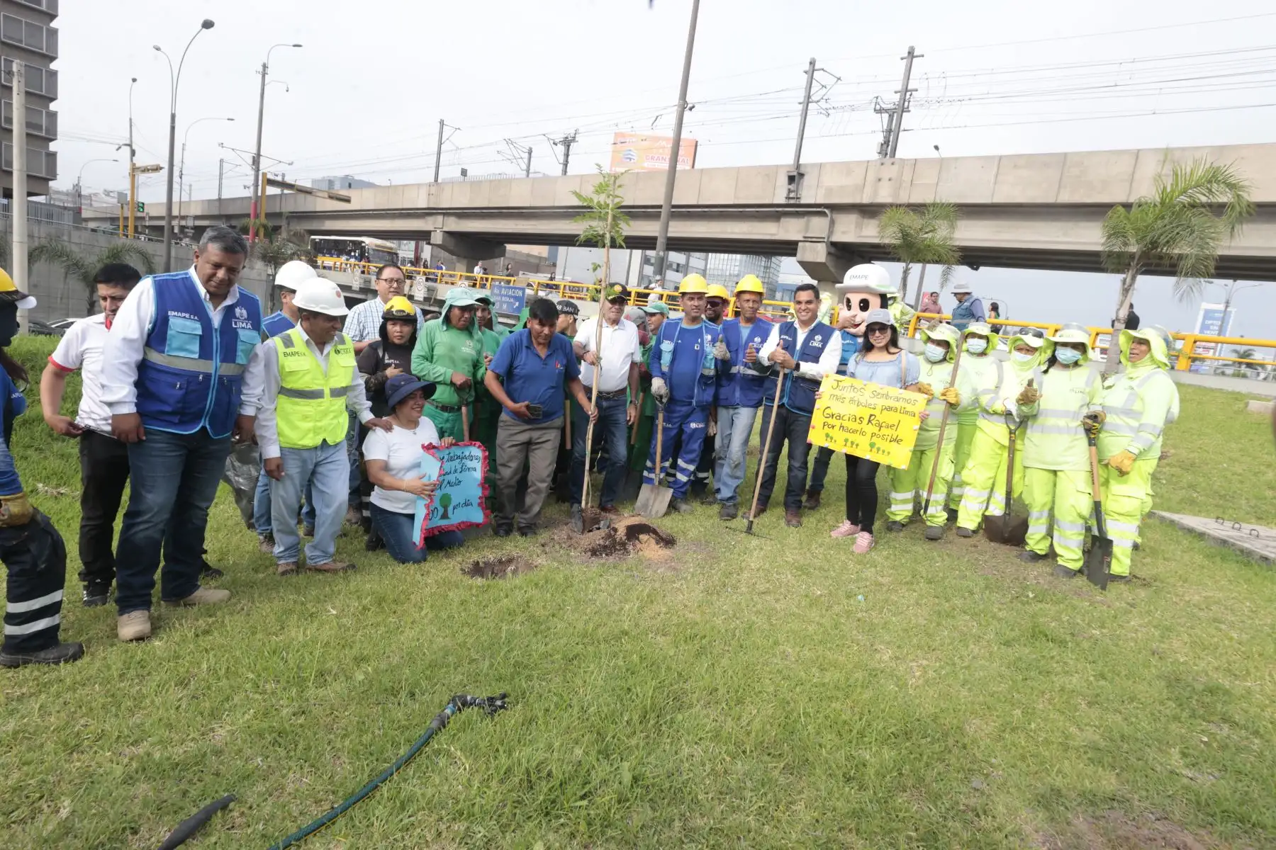 Con la participación del alcalde de San Borja, Marco Álvarez, Emape realizó una campaña de arborización en la vía Expresa Javier Prado. En tan solo 24 horas, 1000 árboles serán sembrados en esta importante arteria vial que mejorará positivamente a millones de limeños, buscando  mitigar la contaminación ambiental y recuperar el paisajismo de la ciudad.
Foto: ANDINA/Vidal Tarqui Con la participación del alcalde de San Borja, Marco Álvarez, Emape realizó una campaña de arborización en la vía Expresa Javier Prado. En tan solo 24 horas, 1000 árboles serán sembrados en esta importante arteria vial que mejorará positivamente a millones de limeños, buscando  mitigar la contaminación ambiental y recuperar el paisajismo de la ciudad.
Foto: ANDINA/Vidal Tarqui