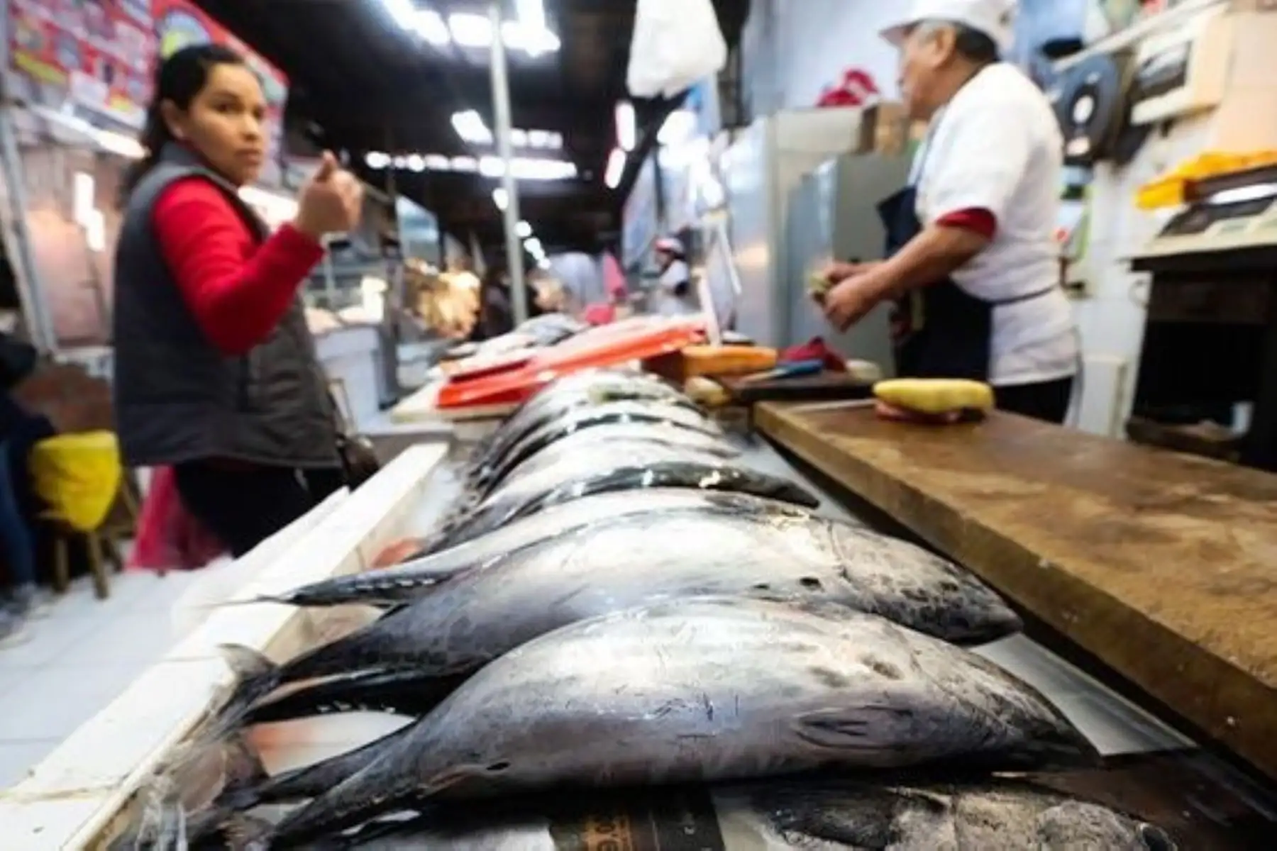 Semana Santa: Minsa recomienda consumo de pescado de carne oscura. Foto: ANDINA/Difusión.