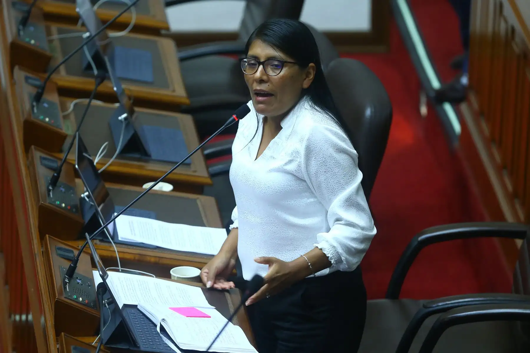 La congresista de Perú Libre, Margot Palacios, expone en el pleno del Congreso, durante la sesión que aborda la interpelación a los ministros de Transportes y Comunicaciones, Raúl Pérez-Reyes Espejo, y de Energía y Minas, Rómulo Mucho. Foto: ANDINA/Eddy Ramos