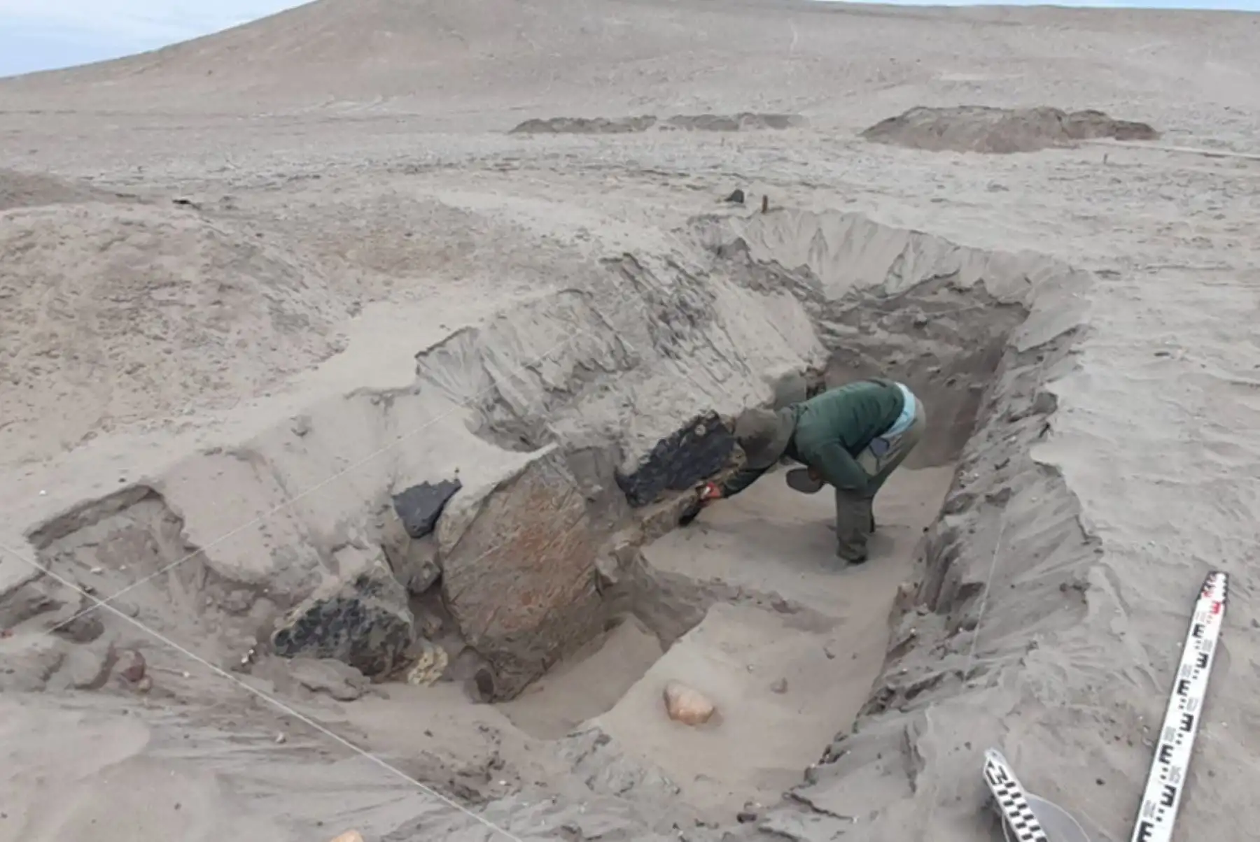 Después de 34 años de la primigenia excavación y estudio del sitio arqueológico Puémape, ubicado en el distrito de San Pedro de Lloc, en la región La Libertad, investigadores del Programa Arqueológico Chicama han encontrado nuevas evidencias sobre el templo religioso erigido allí hace aproximadamente 3,000 años por la sociedad Cupisnique y sobre el cementerio que funcionó posteriormente en esa zona durante la ocupación de la también cultura preinca Salinar.