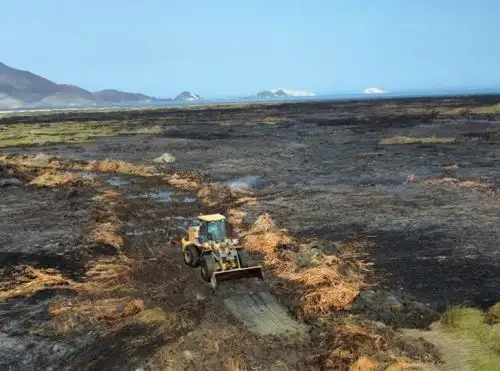 Después de casi tres días de arduo trabajo, las autoridades lograron controlar hoy el incendio forestal que afectó a los humedales de Villa María, ubicado en el distrito de Nuevo Chimbote.  ANDINA/Difusión