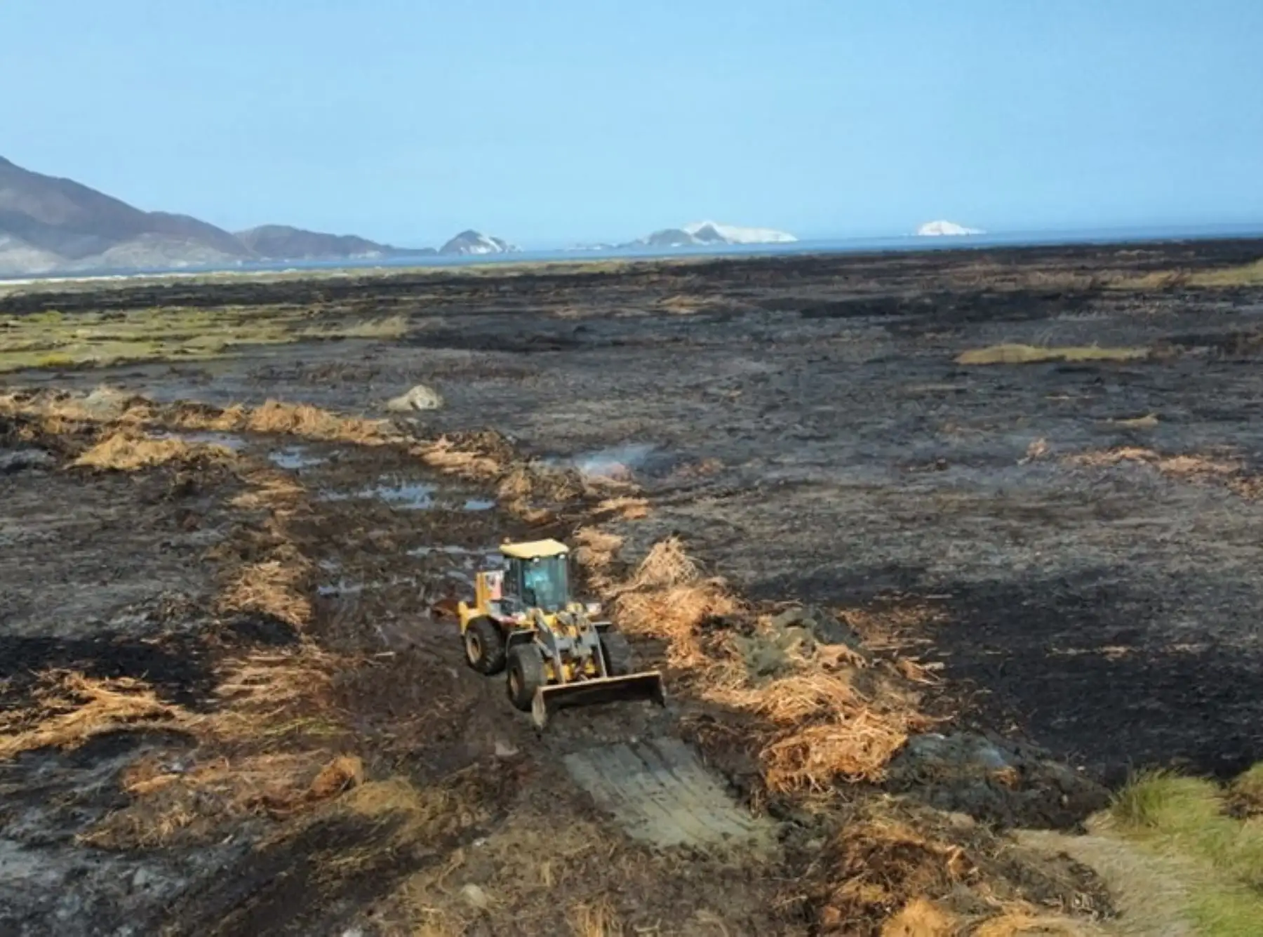 Después de casi tres días de arduo trabajo, las autoridades lograron controlar hoy el incendio forestal que afectó a los humedales de Villa María, ubicado en el distrito de Nuevo Chimbote.  ANDINA/Difusión