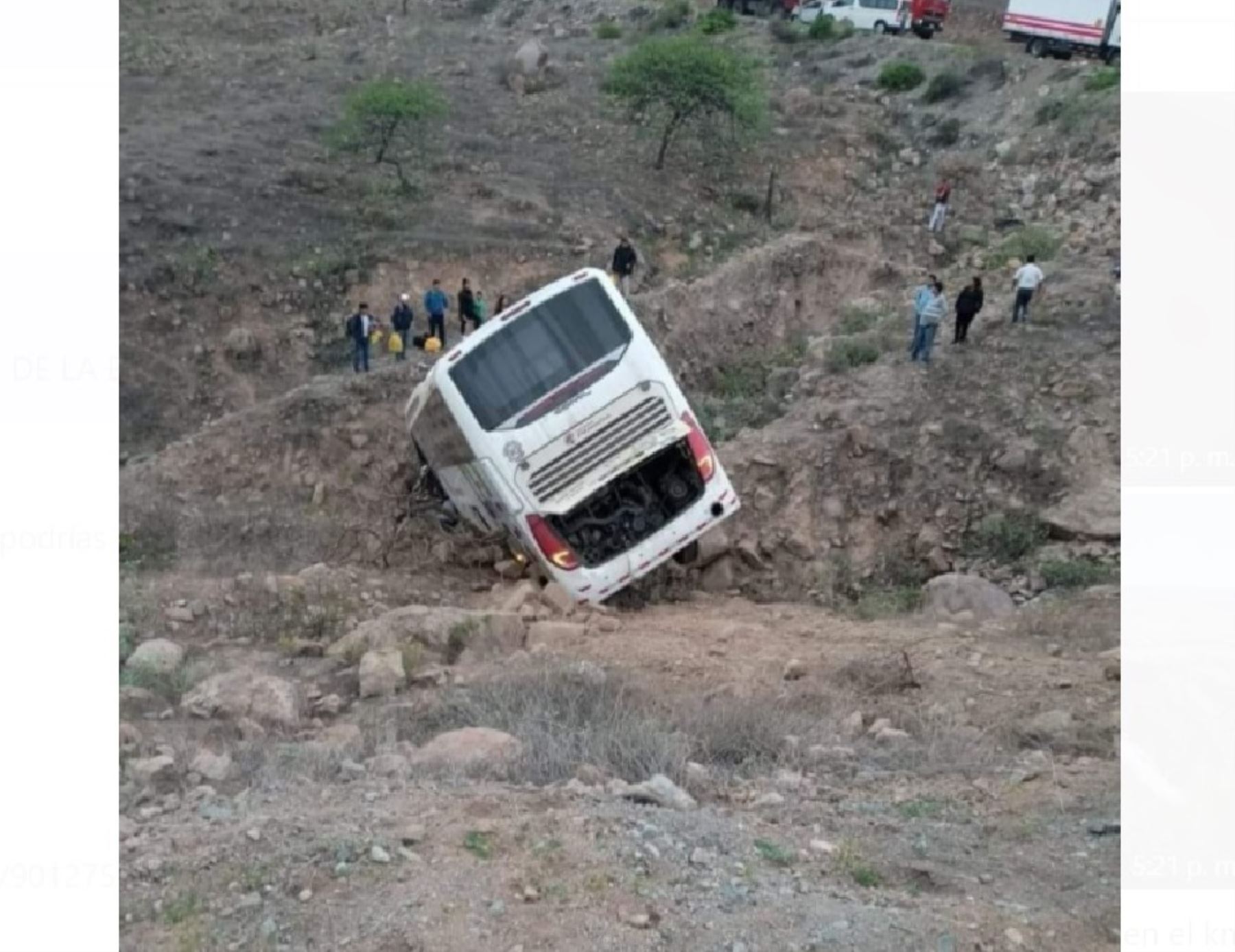 Un bus interprovincial de la empresa Palomino sufrió un despiste en la carretera Interoceánica, en el tramo Nasca-Puquio, en Ayacucho. El accidente dejó 15 personas heridas. ANDINA/Difusión
