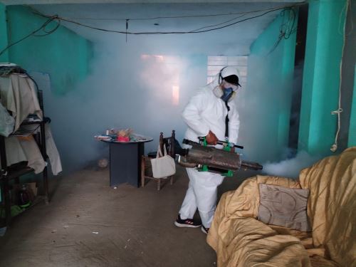 Autoridades de Salud de Áncash intensifican sus acciones contra el dengue en la provincia de Casma. En el distrito de Yaután se espera fumigar más de 1,000 viviendas para erradicar los criaderos del zancudo transmisor de esta enfermedad. ANDINA/Difusión