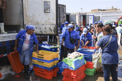 Callao: miles llegaron a terminal pesquero ante ofertas por Semana Santa
