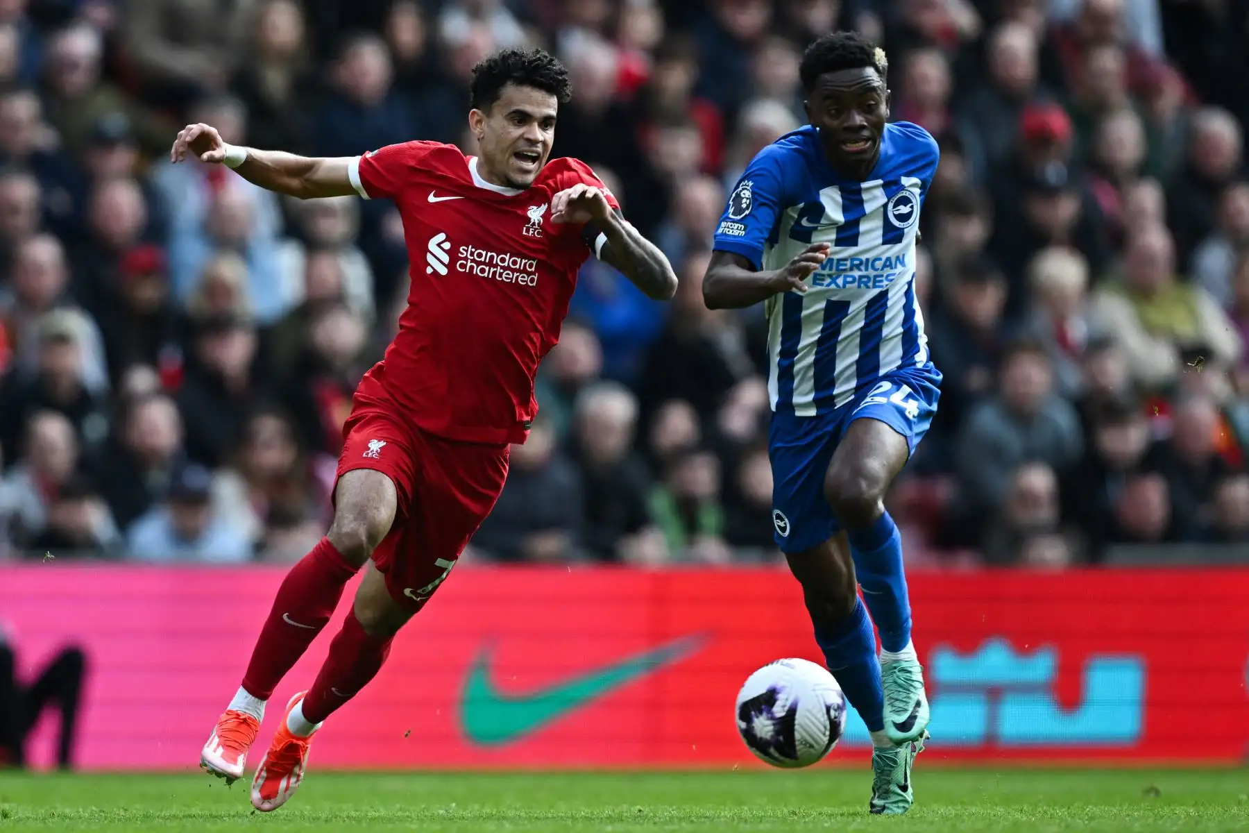 El mediocampista colombiano del Liverpool  Luis Díaz  lucha por el balón con el mediocampista marfileño del Brighton Simon Adingra durante el partido de fútbol de la Premier League inglesa entre Liverpool y Brighton y Hove Albion en Anfield en Liverpool, noroeste de Inglaterra. Foto: ANDINA/AFP