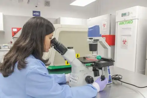Becas para maestría y doctrorado se ofrecen en PROCIENCIA, PRONABEC y las embajadas de Japón y Corea del Sur.