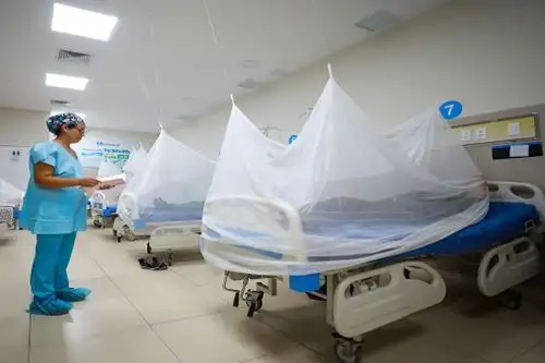 A este presupuesto, el Minsa por gestión directa ha habilitado S/10 485 116 adicionales para la lucha contra el dengue.ANDINA/Difusión