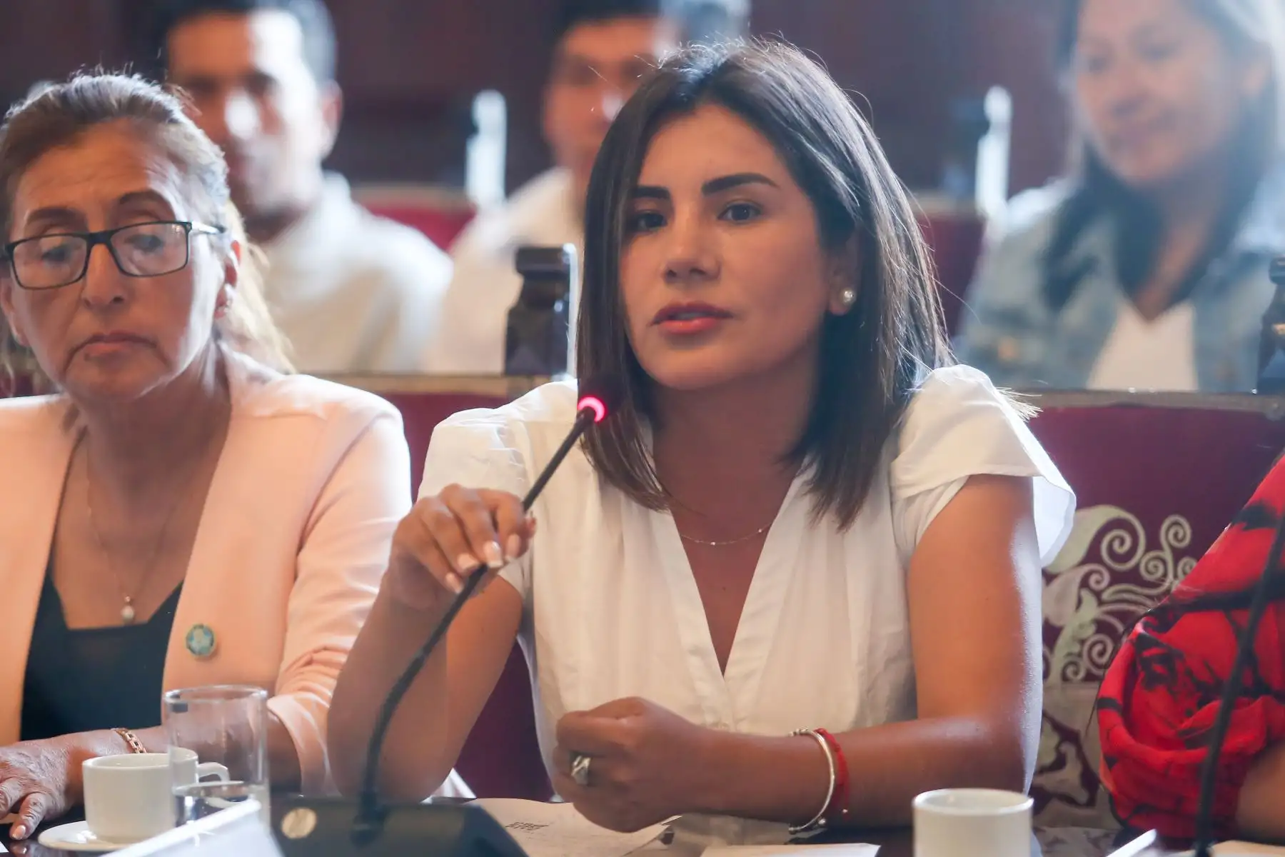 La presidenta de la República, Dina Ercilia Boluarte Zegarra, sostiene una reunión con alcaldes provinciales y distritales de las regiones de Piura, Huánuco, San Martín, Amazonas, Ica, Apurímac, Junín, Puno, Áncash y Lima Provincias en Palacio de Gobierno. Foto: ANDINA/Presidencia