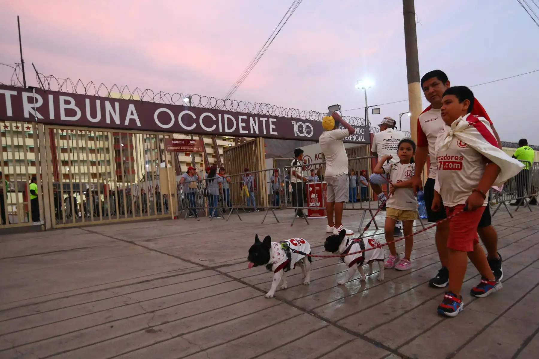 Hinchas de Universitario de Deportes alientan a su equipo momentos previos al partido contra el LDU Quito, quienes debutan en la Copa CONMEBOL Libertadores 2024, por el grupo D en el Estadio Monumental U Marathon de Ate. Foto: ANDINA/Eddy Ramos