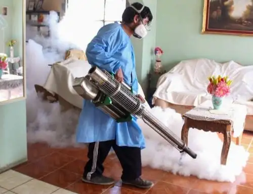 Brigadas de salud de Áncash esperan fumigar 66,890 viviendas en el distrito de Nuevo Chimbote para frenar avance del dengue en esta jurisdicción. Foto: ANDINA/difusión.