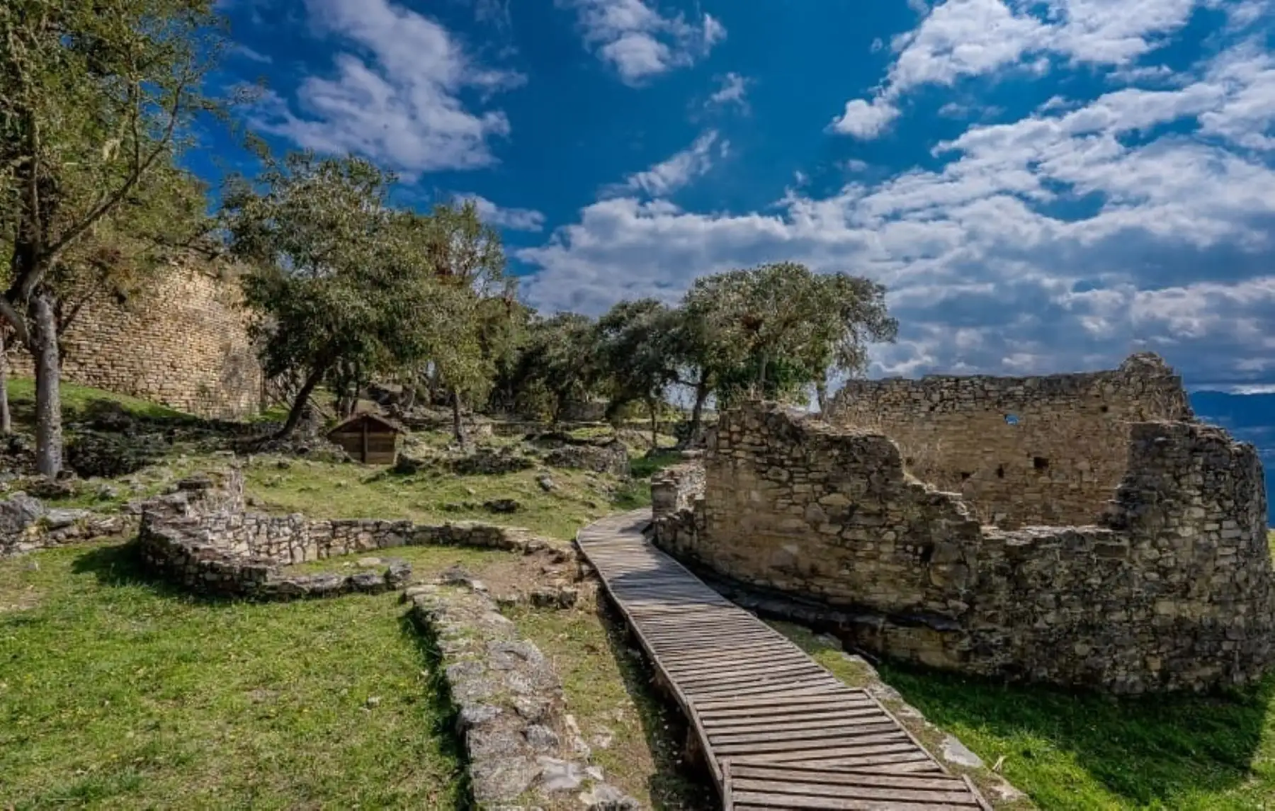 ANDINA/Difusión