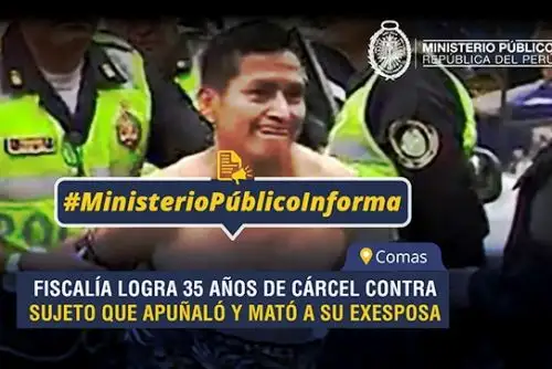 MIMP felicita sentencia de 35 años de prisión a sujeto que asesinó a su exesposa. Foto: ANDINA/Difusión.
