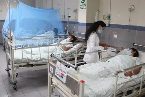 Foto: ANDINA/difusión.