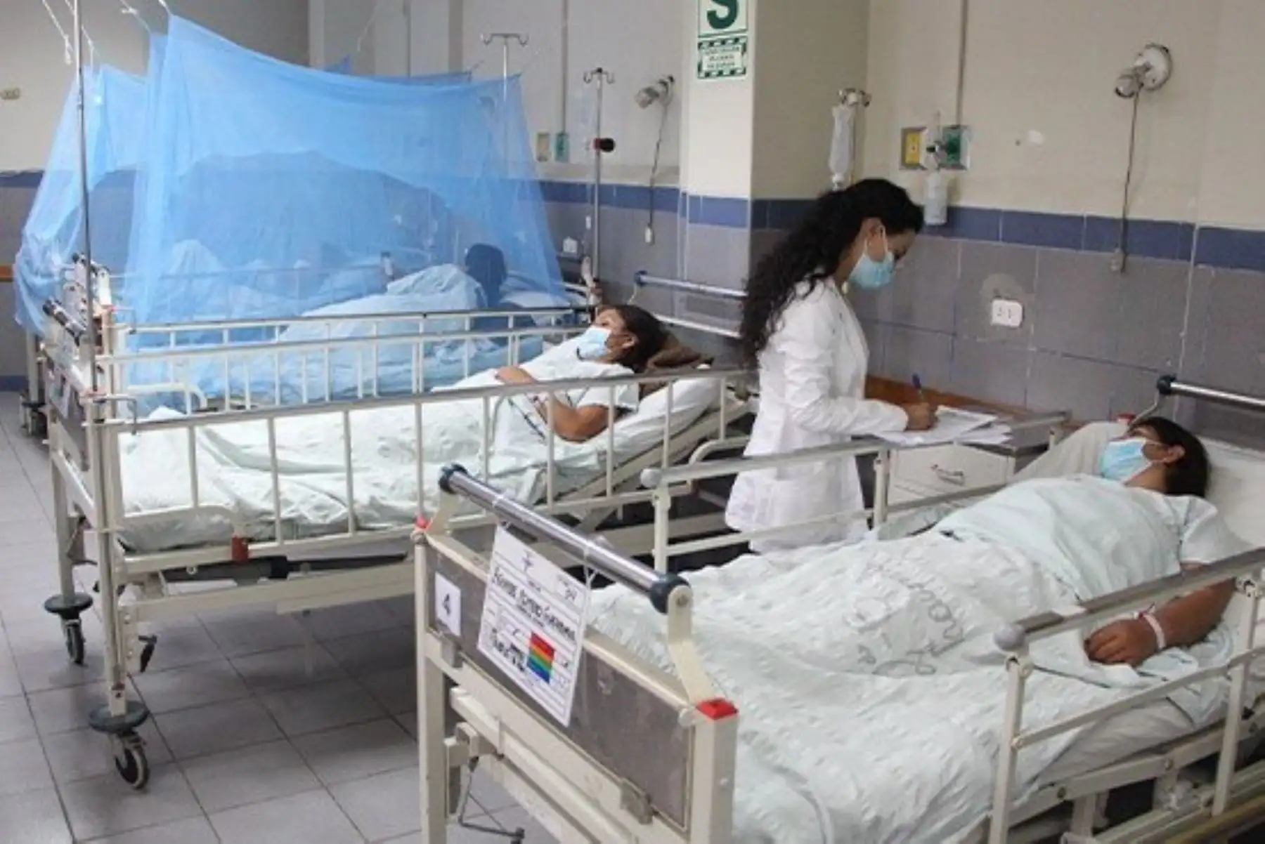 Foto: ANDINA/difusión.