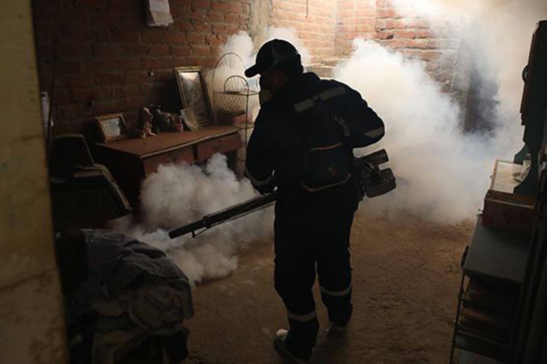 La fumigación en la región Áncash cuenta con la participación activa de 160 profesionales. Foto: ANDINA/Difusión