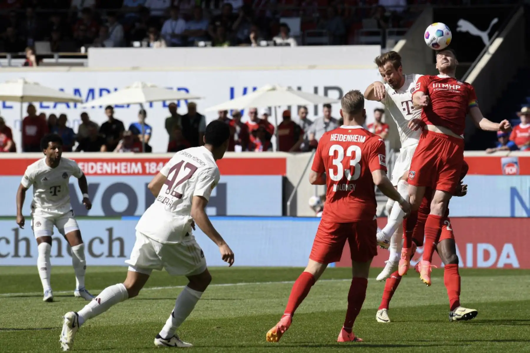 El delantero inglés del Bayern de Múnich #09 Harry Kane (2º R) y el defensor estadounidense de Heidenheim #33 Lennard Maloney (R) compiten por el balón durante el partido de fútbol de la primera división alemana de la Bundesliga 1 FC Heidenheim contra FC Bayern Munich en Heidenheim. Foto: AFP