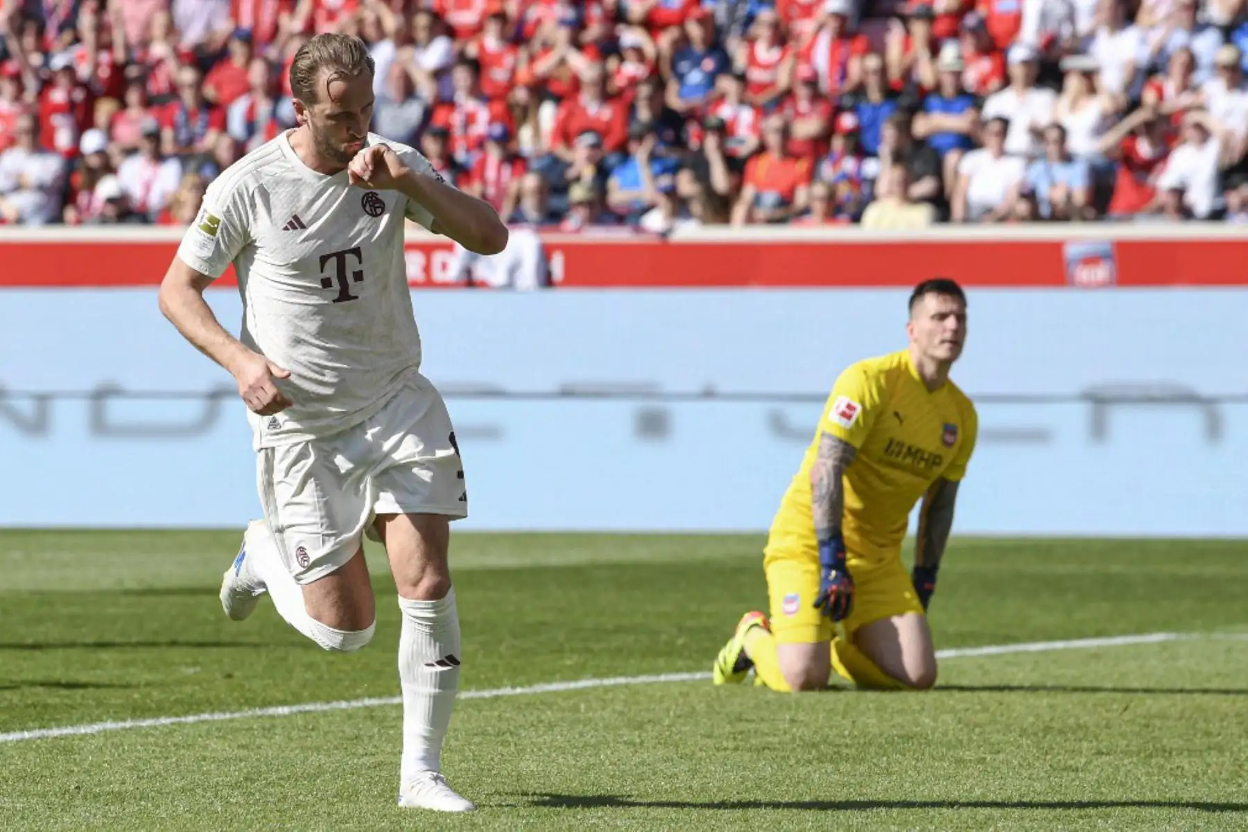 El delantero inglés del Bayern Munich #09 Harry Kane (L) celebra su 0-1 durante el partido de fútbol de la Bundesliga de primera división alemana 1 FC Heidenheim contra FC Bayern Munich en Heidenheim, suroeste de Alemania. Foto: AFP