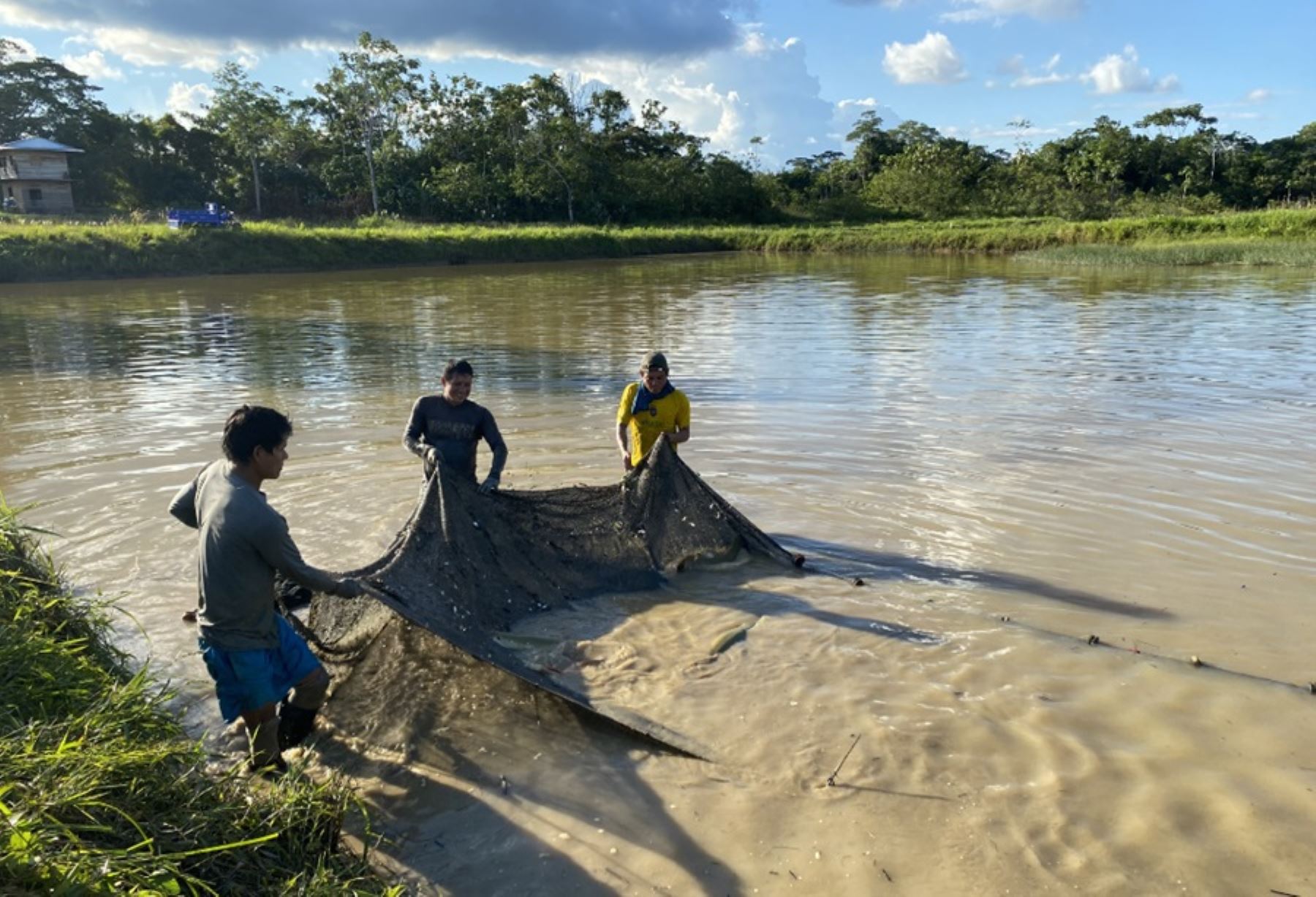 El Organismo Nacional de Sanidad Pesquera (Sanipes), entidad adscrita al Ministerio de la Producción, reforzó los conocimientos de acuicultores de la región Huánuco para optimizar su operatividad y la mejora de la labor en sus centros de producción.