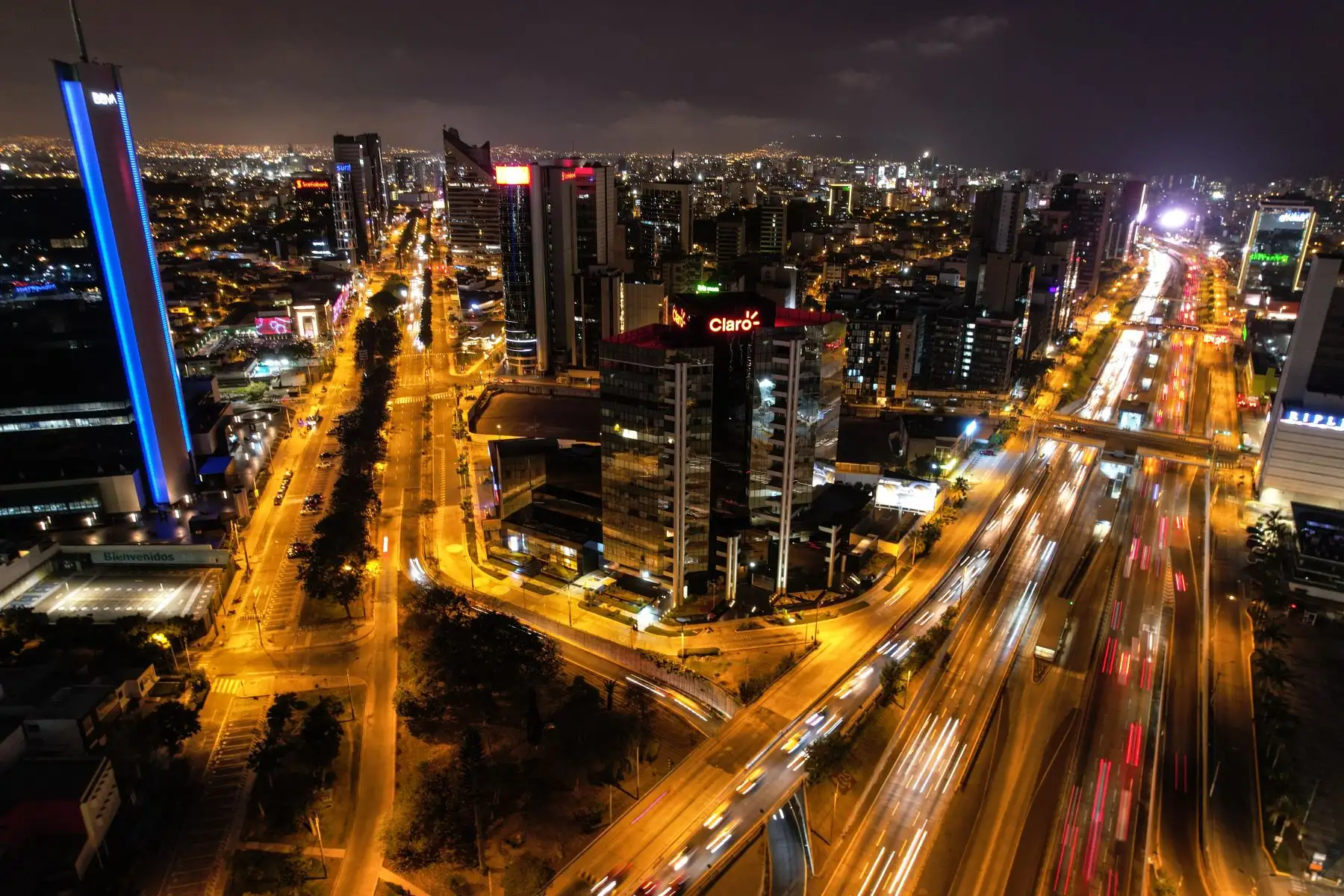 Presentaron nuevas propuestas para facilitar el comercio electrónico entre los países que conforman el APEC. ANDINA/Jhonel Rodríguez Robles
