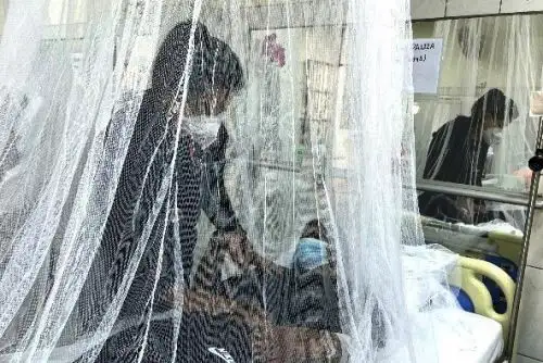 Dengue: Minsa destaca atención oportuna de pacientes en Lima sur. Foto: ANDINA/Difusión.