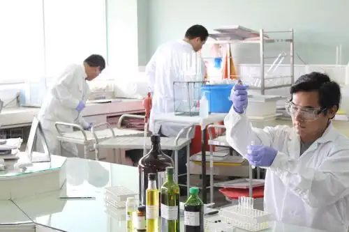 Según datos del Renacyt, en el Perú las mujeres representan el 31.86% (1 937) del total de investigadores científicos registrados en Perú (6 079).