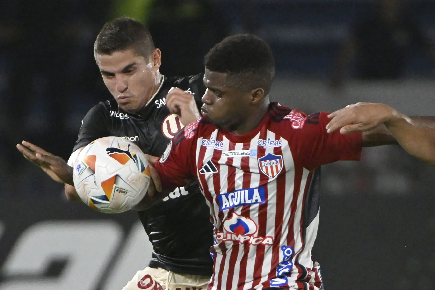 El defensor de Universitario Aldo Corzo y el delantero de Junior Deiber Caicedo luchan por el balón durante el partido de fútbol de ida de la fase de grupos de la Copa Libertadores entre Junior de Colombia y Universitario de Perú en el Estadio Metropolitano Roberto Meléndez en Barranquilla, Colombia.
Foto: AFP