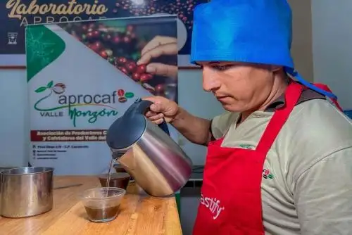 Huánuco: café del Valle del Monzón participará en Feria Internacional de Chicago-EE.UU.