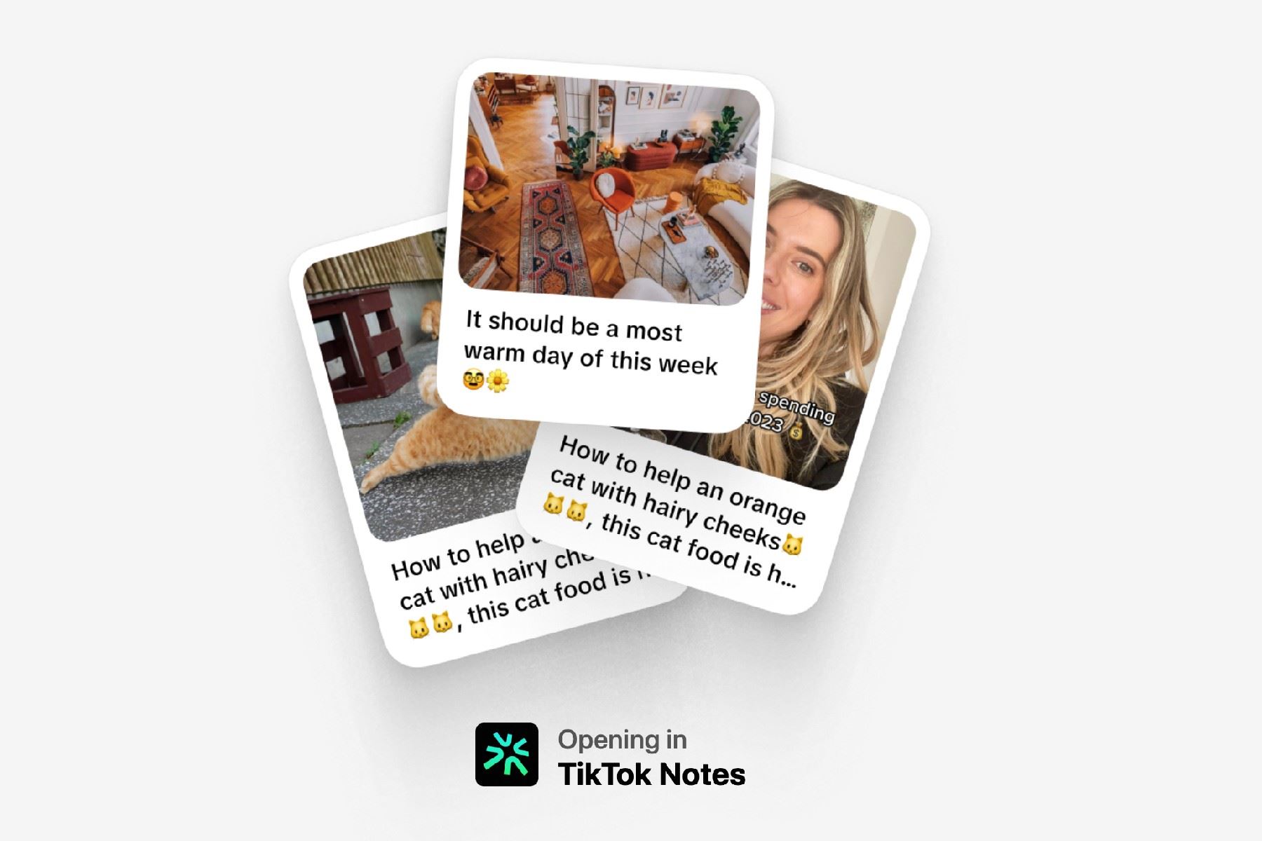 La web TikTok Notes muestra una imagen que incluye fotos al estilo polaroid con recuerdos y textos