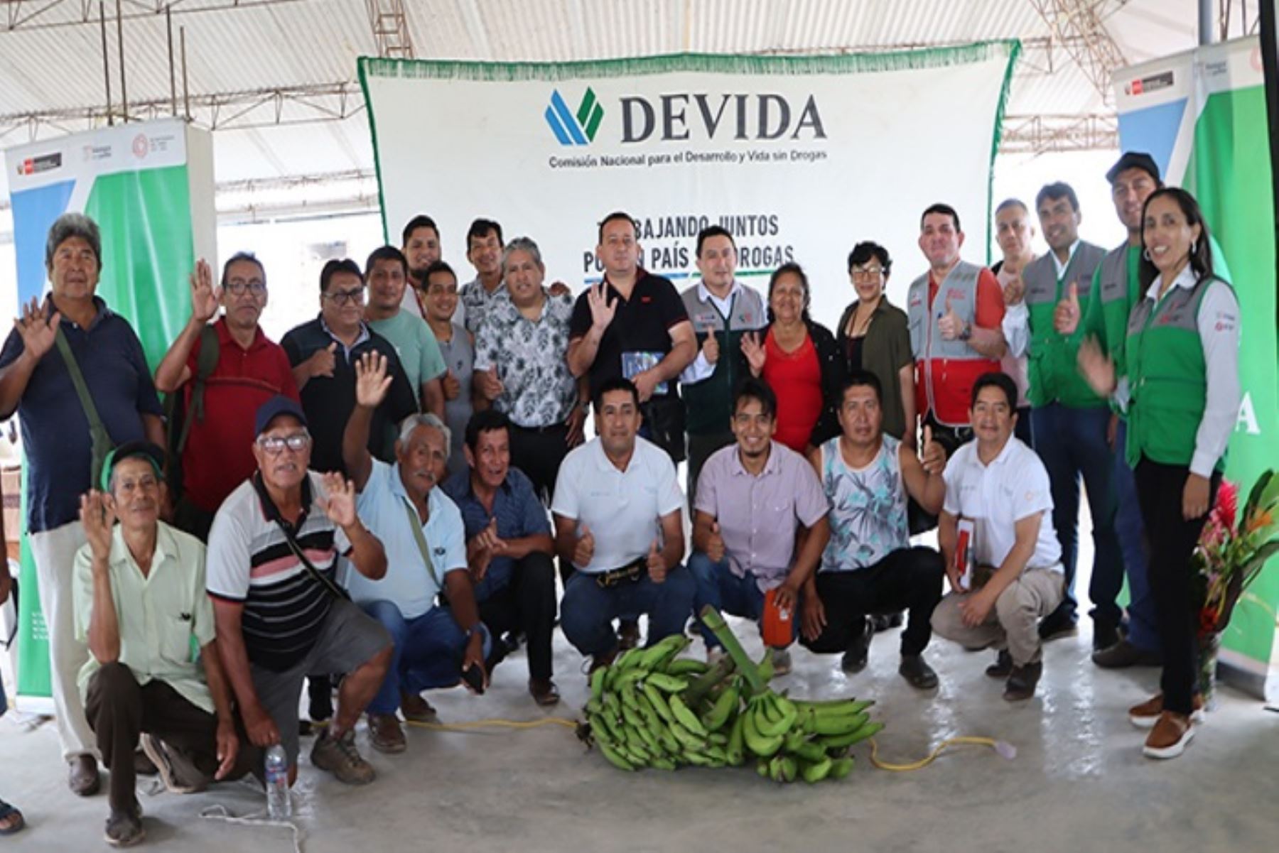 Pasco: Devida inició actividades en apoyo para más de 3,700 familias de zonas cocaleras