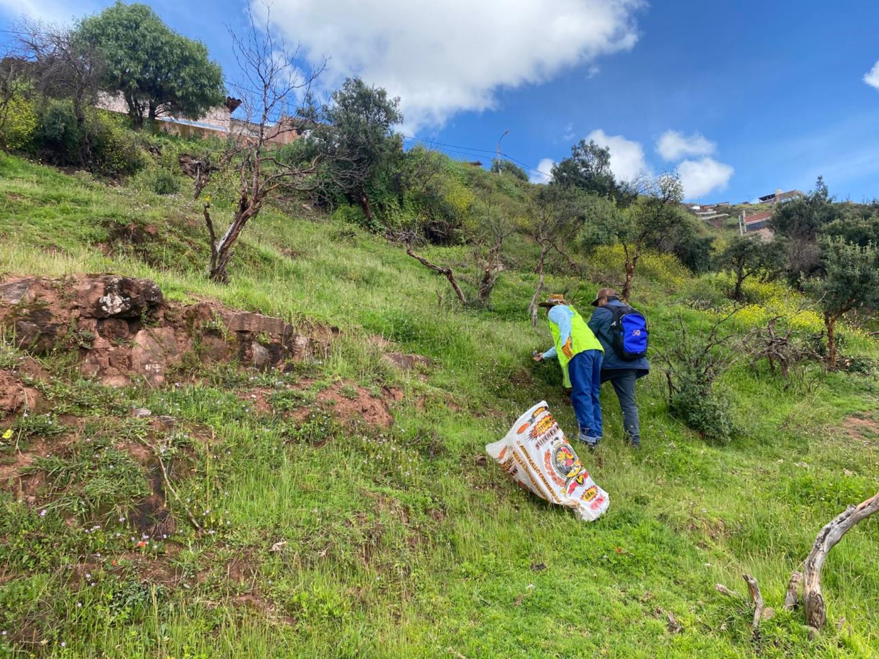 Pobladores del distrito de Santiago participaron de la jornada de limpieza y retiro de residuos sólidos del monumento arqueológico Pukin situado en esa jurisdicción ubicada en la provincia de Cusco.