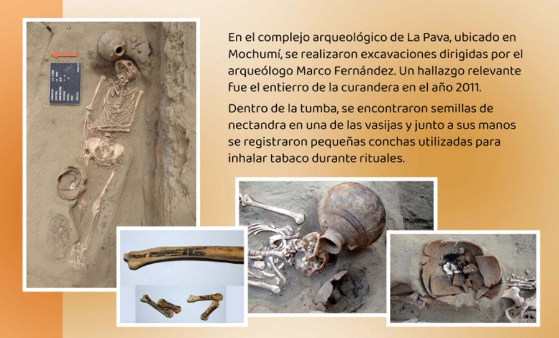La tumba con el esqueleto de un personaje femenino al que se llamó “La Curandera” fue descubierta en 2011 en el complejo arqueológico La Pava, ubicado en el distrito de Mochumí durante las excavaciones dirigidas por el arqueólogo Marco Fernández.