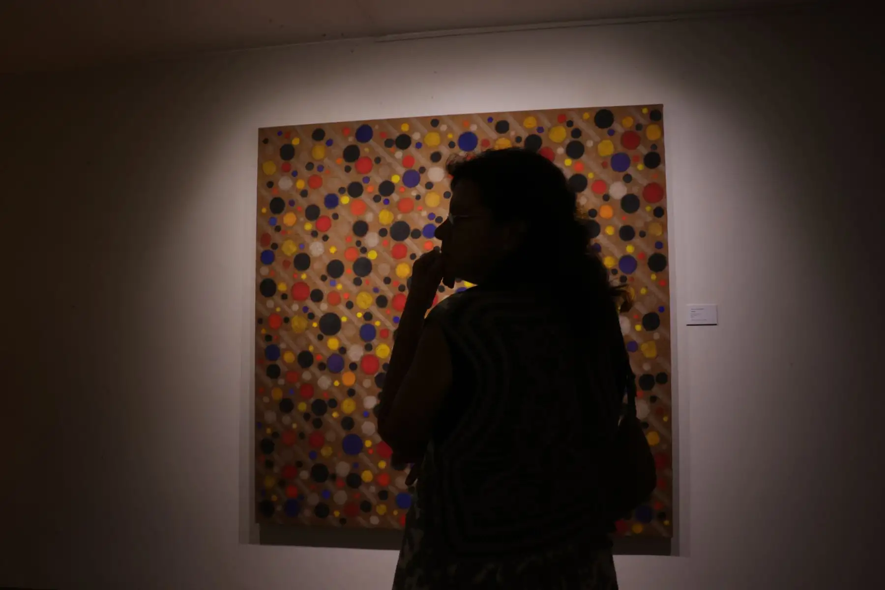 En el marco de la celebración por el centenario del nacimiento del artista peruano, Jorge Eduardo Eielson, se inauguró hoy una muestra con 11 artistas nacionales cuyas obras dialogan con el legado de nuestra figura emblemática. La exposición está bajo la curaduría de Carlos Castro y Mariana Rodriguez y va desde 11 de abril al 12 de mayo, en el Centro Cultural de la PUCP, en San Isidro. Foto: ANDINA/Andrés Valle