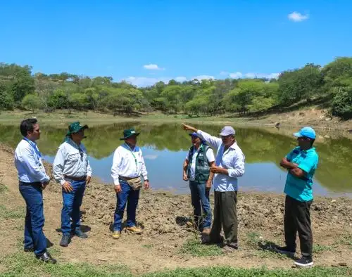 Unas 80 famiias dedicadas a la producción ganadera del distrito tumbesino de Pampas de Hospital se benefician con proyecto de Siembra y Cosecha de Agua ejecutado por el Proyecto Especial Binacional Puyango-Tumbes. ANDINA/Difusión
