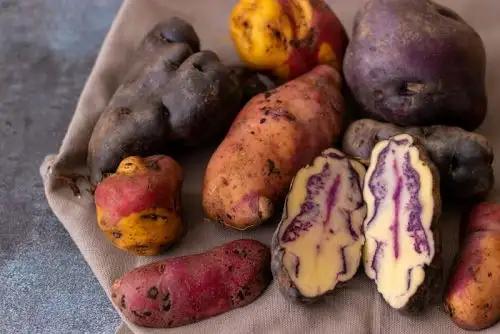 Papas nativas del Perú Foto: Cortesía