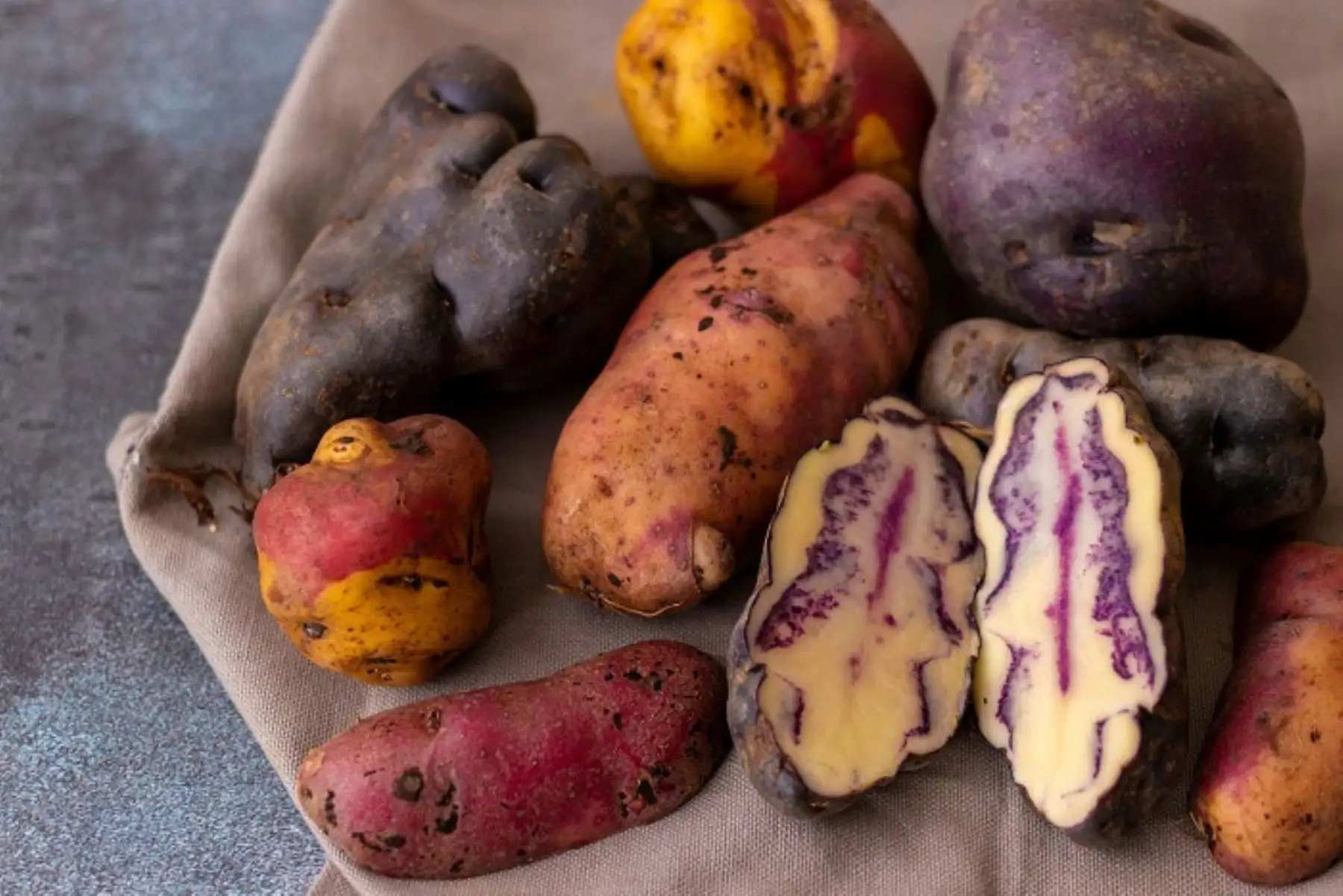 Papas nativas del Perú Foto: Cortesía